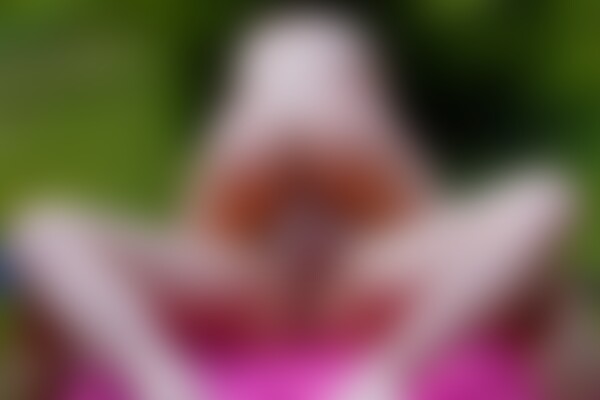 'Titjob'-Szene aus Titof - Fickeria: Anschlagspoppen