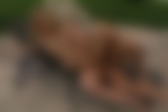 'Pool'-Szene aus Alexis Texas - Pool Parties