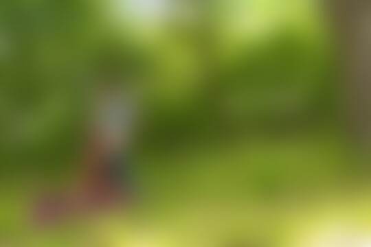 'FKK'-Szene aus Die dauergeile Anna von Freienwalde im Wald durchgefickt