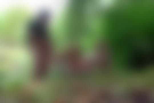 'Park'-Szene aus Blonder Teenie im Park POV gebumst