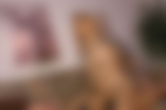 'Naturbusen'-Szene aus Kitty Blair - Deutsche Sex Stars 8