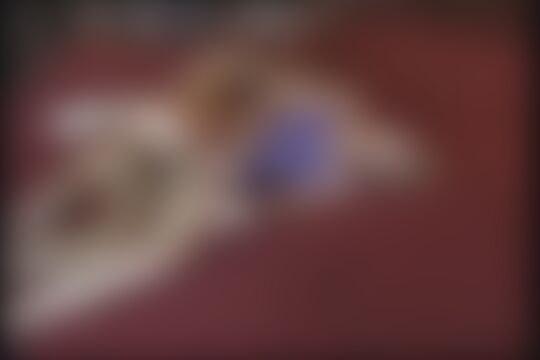 'Rocco Siffredi'-Szene aus Blondine in lila Korsage in den dicken Arsch gefickt