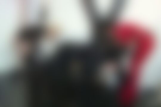 'Herrin'-Szene aus Herrin Blackdiamond - StrapOn Diaries (Amator) Szene 1