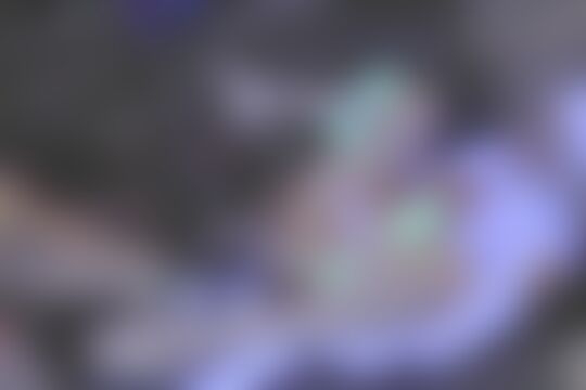 'Rocco Siffredi'-Szene aus Voracious: Season Two Volume 4 (Evil Angel - John Stagliano) Szene 6