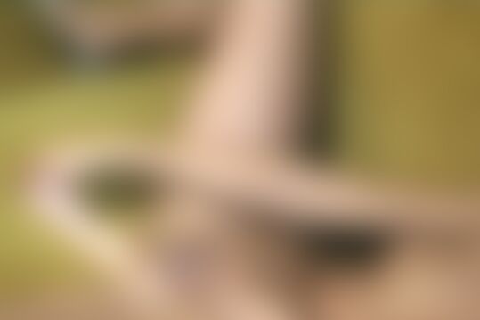 'Rollenspiel'-Szene aus Sahnegesicht/Solo Blondine