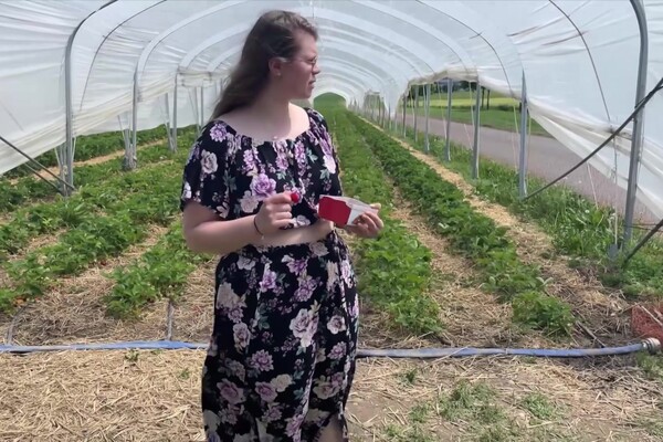 'Webcam'-Szene aus Lina Love: Webcam Sternchen - Immergeil & Fickverrückt (German Love) Szene 1