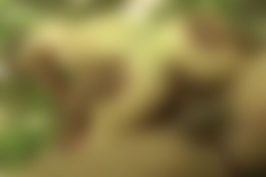 'Nippel'-Szene aus Große Nippel, haarige Muschi