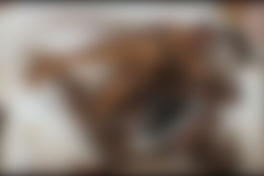 'Badezimmer'-Szene aus Das schwarze Hausmädchen Vivien Tigress im Badezimmer gebumst