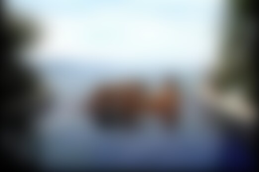 'Karneval'-Szene aus Judith Fox & Melody Kord - Classics - Madness