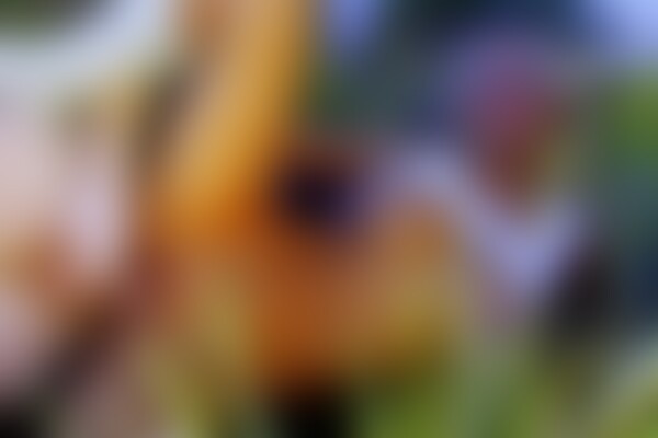 'Fickmaschine'-Szene aus Ginger Hell - Ich bin eine Fickmaschine