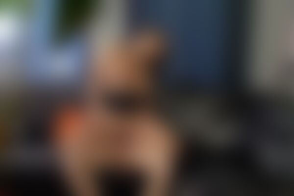 'Seide'-Szene aus Sexy Susi - Cheaters 2