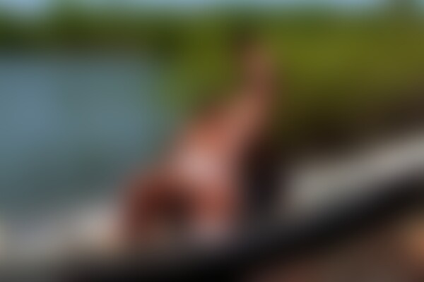 'Titjob'-Szene aus Titof - Summer Cum