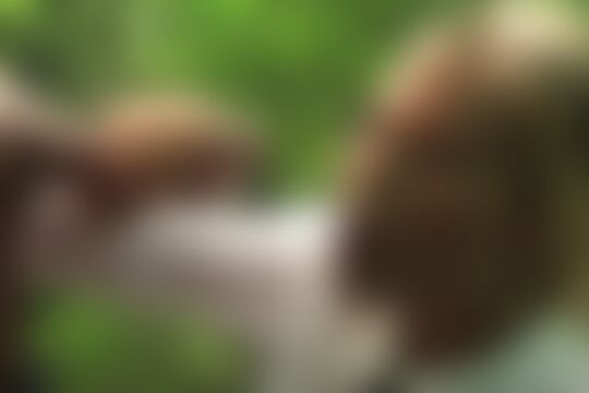 'Wald'-Szene aus Im Wald mit Lola Reve: Schulmädchen arschgefickt