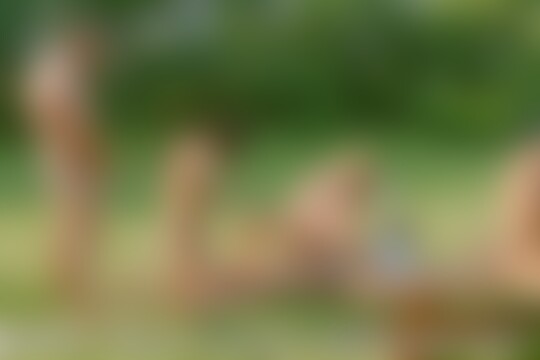 'Outdoor'-Szene aus Outdoor Pleasure Games 2 (Group Sex Games) Szene 1