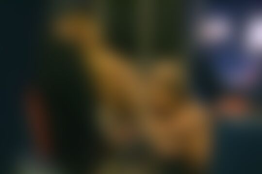 'Bus'-Szene aus Lesbische Lecktour im öffentlichen Bus