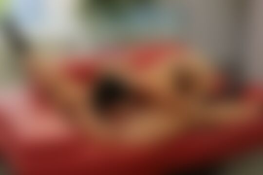 'Sex am Strand'-Szene aus Veronica Avluv und die blonde Zoey Monroe spritzen um die Wette