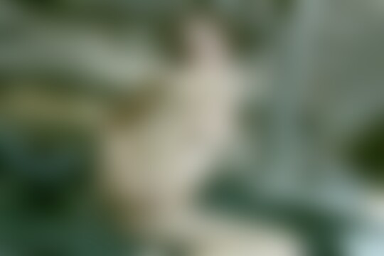 'Sklavin'-Szene aus Im Kellerverlies