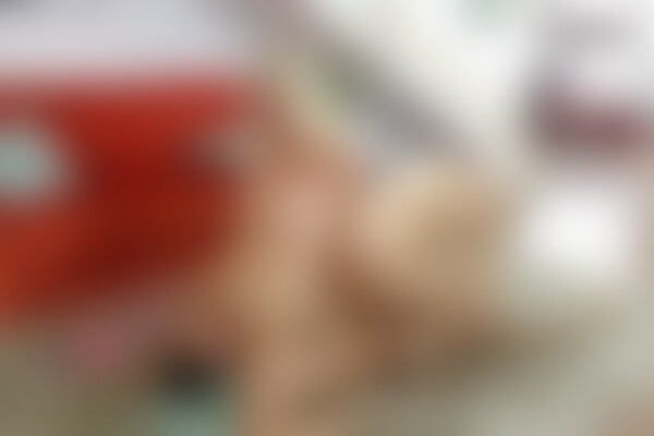 'Nackt in der Öffentlichkeit'-Szene aus Dirty Tina & Julia Pink - Costas: Ein Grieche dreht durch