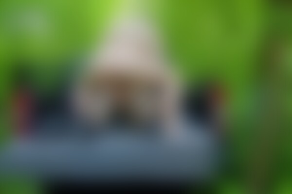 'Premium'-Szene aus Auch im Auto wird es getrieben 2 (Fun Picture) Szene 3