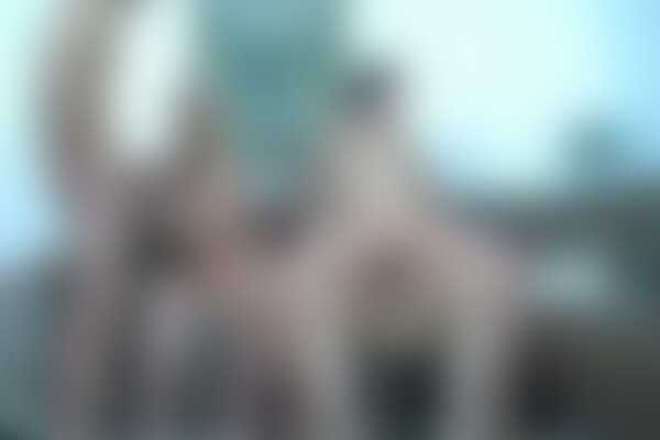 'Zuhause'-Szene aus Deutsche Hobbyhuren Zuhause besucht (Unter Deutschen Dächern) Szene 3