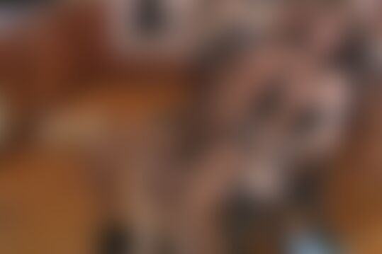 'Hässlich'-Szene aus Return Of The Fem Doms (Severe Sex) Szene 7