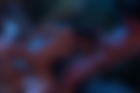 'Farm'-Szene aus Kaylani Lei ist die sexy Pocahontas mit zwei dicken Cowboyschwänzen in ihren  Löchern