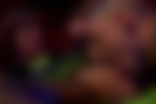 'Farm'-Szene aus Ay caramba, fick die Muschi!