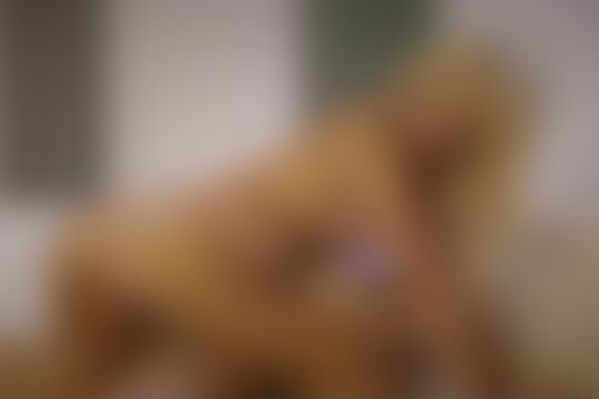 'Nerd'-Szene aus Elsa Jean - Too Big For Teens 23