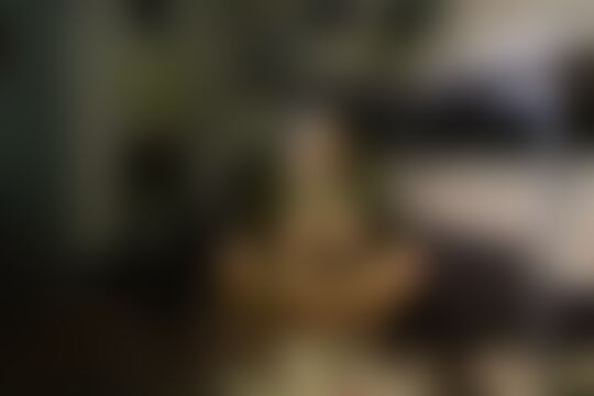 'Militär'-Szene aus Die vollbusige blonde Ausbilderin Rebecca More nimmt sich was sie will