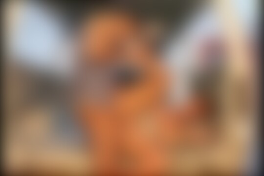 'Reiten'-Szene aus Ein hartes Werkzeug für einen reifen Rotschopf