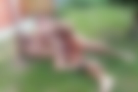 'Farm'-Szene aus Innocents Taken 4: Domestic Discipline (Bizarre Video US) Szene 1