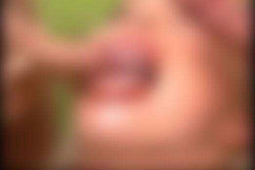 'Wald'-Szene aus Wald und Wiesendreier