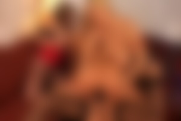 'Riesentitten'-Szene aus Lesben mit Megatitten (Tabu) Szene 3