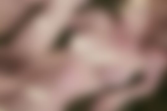 'Redhead'-Szene aus Lilith Lust - Redheads Are Sexy 5