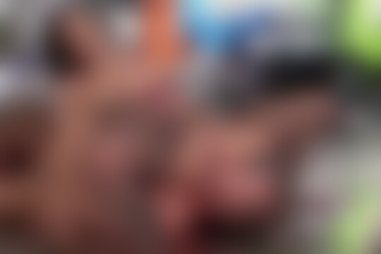 'Rocco Siffredi'-Szene aus Amy, Domino & Manuella - Rocco's Abbondanza 5