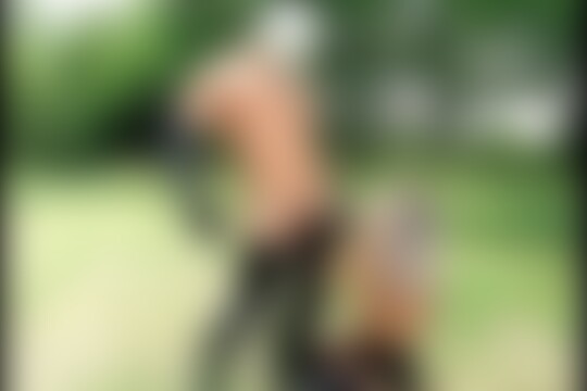 'Bauernhof'-Szene aus Das Gummi-Gehöft (Inflagranti) Szene 5