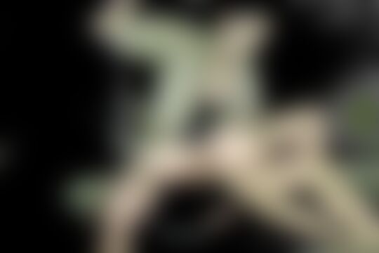 'Militär'-Szene aus Die junge Katsuni in ihrem Militär-Outfit gebumst